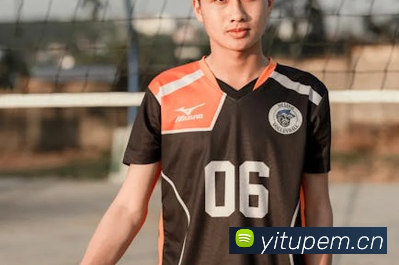 爱游戏ayx官方正版发展历程